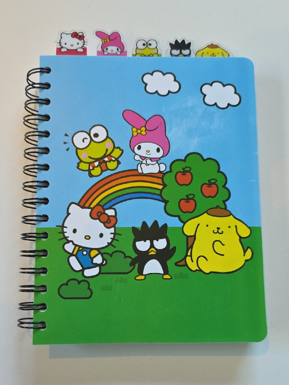 Hello Kitty and Friends Tabbed Spiral Journal - Sanrio